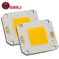 20W 30W 50W 60W 80W 100W DC COB LED Modul