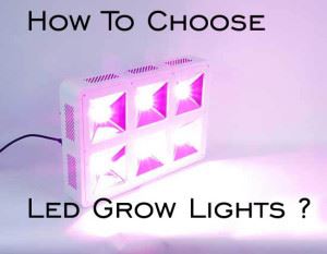 how-to-choose-led-grow-lights-300x233