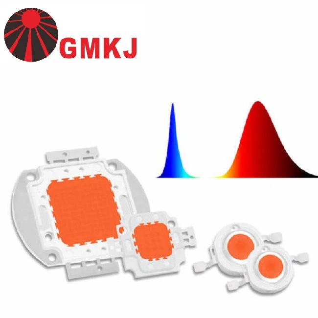 90W Full Spectrum COB LED Ra95