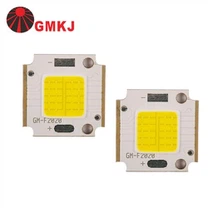 LED Chip 10W 12VDC INPUT