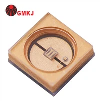UVB LED 311nm 310nm 308nm 315nm 300nm 320nm 3535 LED Untuk Fototerapi UVB